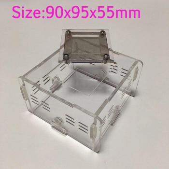 3D Acrylic Ant Nest