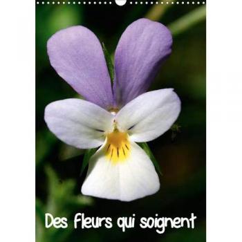 Des fleurs qui soignent