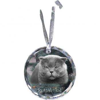 Art‑Dog Transparent Scottish Fold Kristallfigur