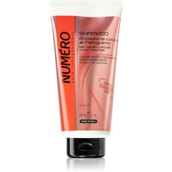 Brelil Numéro Colour Care Shampoo – 300 ml zum Schutz von gefärbtem Haar
