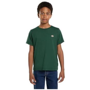 Dickies Mapleton T-Shirt Verde Bimbi XXS