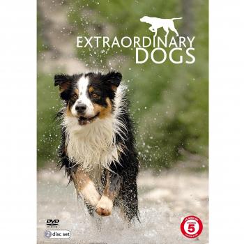 Extraordinary Dogs DVD FREE SHIPPING