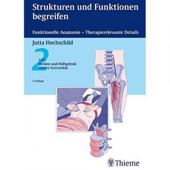 Strukturen und Funktionen begreifen