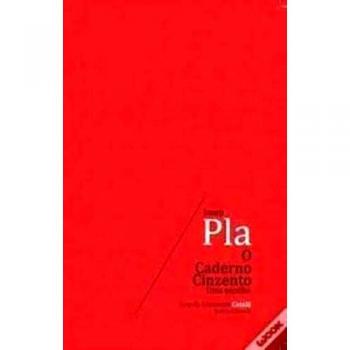 O Caderno Cinzento