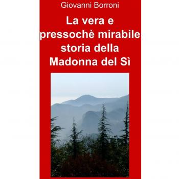 La vera e pressoché mirabile storia della Madonna del sì