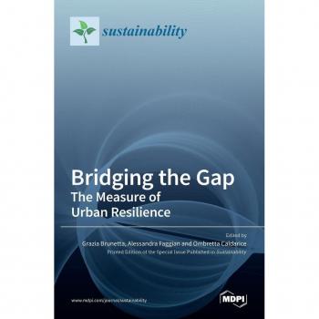 Bridging the Gap: The Measure of Urban Resilience