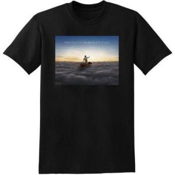 Pink Floyd Endless River Unisex Tee – M (Black)