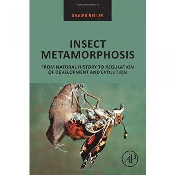 Insect metamorphosis