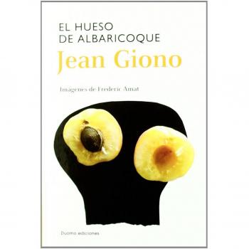 El hueso de albaricoque