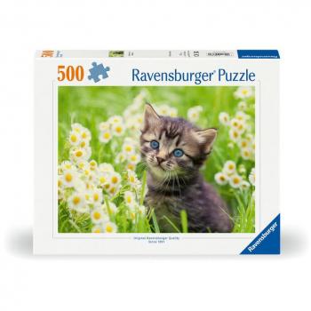 Adult & Kids 12+ Puzzle