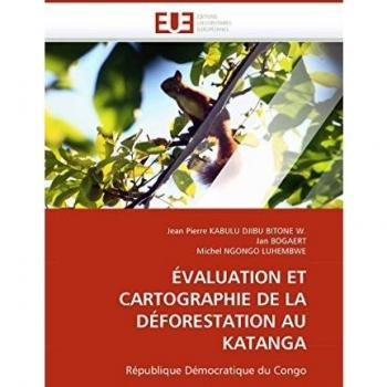 ÃVALUATION ET CARTOGRAPHIE DE LA DÃFORESTATION AU KATANGA: RÃ©publique DÃ©mocratique du Congo