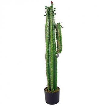 Leaf Artificial Cacti Cactus Plant Realistic Plants Realistic Faux House Plants Green 100cm H X 22cm W X 22cm D