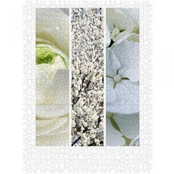 CALVENDO Puzzle Natural Trios