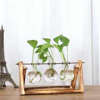 Wooden Frame Hydroponic Plant Vase