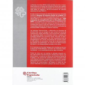 ¿qué propuestas de evangelización para la vida pública en españa? (Tapa blanda).