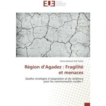 Region d'Agadez : Fragilite et menaces