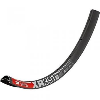 Cerchione DT Swiss XR 391 Disc 29