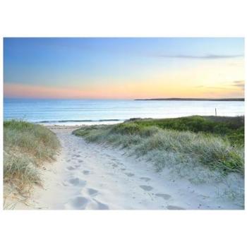 Papier Peint Intissé Plage Mer 300x210 cm – Colle Inclus, Moderne
