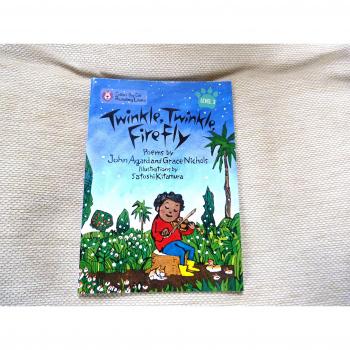 Xbc Lions Twinkle Twinkle Firefly, Not Known, Book