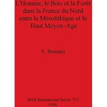 L'Homme, le Bois et la Forêt dans la France du Nord entre le Mésolithique et le Haut Moyen-Age (BAR International)