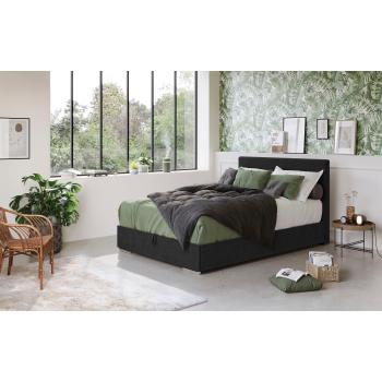 COTTA Boxbett Tom – Kompaktes Design für moderne Räume
