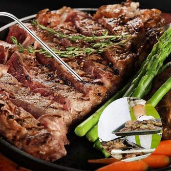 Pellet Grill Meat Probe Duo