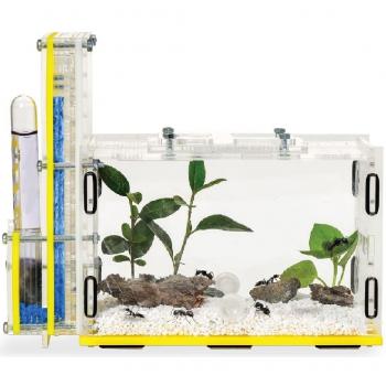 Acrylic Ant Nest with Feeding Area