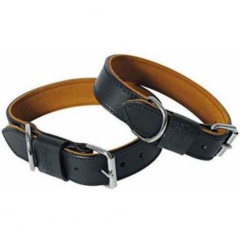 Collier pour chien Martin-Sellier