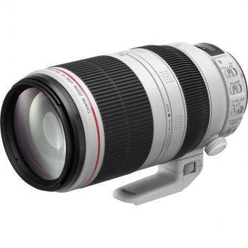 Canon EF 100-400/4,5-5,6 L IS II USM