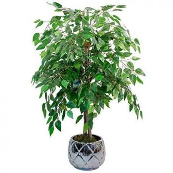 Ficus Artificial para Hogar Maia Shop
