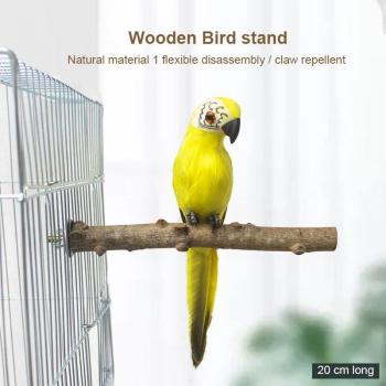 Bird Play Perches