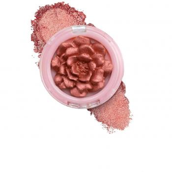Rose Douceur Maquillage