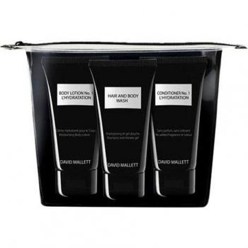 David Mallett Travel Kit X3 (50 mL) for Every Hair Type
