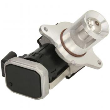 Soupape EGR Delphi EG10487 pour Mercedes‑benz Classe E