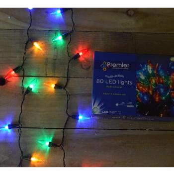 Large Bulb Multi-Colored 80 LED Multi-Action Outdoor Christmas Lights by Samuel Alexander