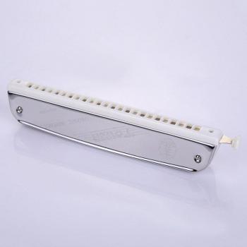 C Key 24-Hole Harmonica for Musical Education
