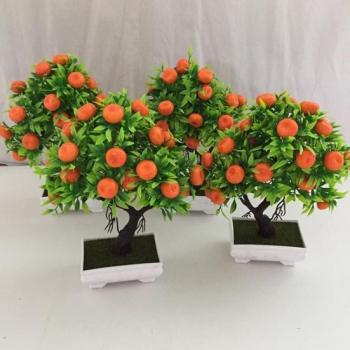 Stevige Oranje Bonsai