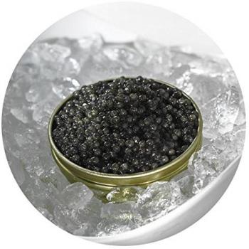 Auslese‑Caviar Beluga Hybrid – 30 g CN‑Zucht