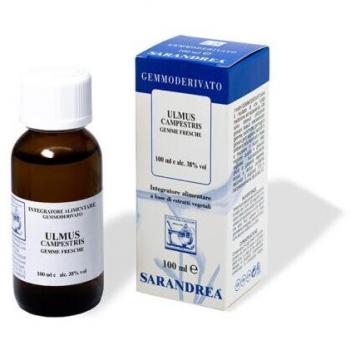 Tintura de Olmo Silvestre 100 ml