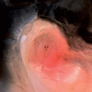 Xxl Xiu Xiu Larsen Series