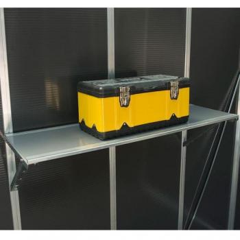 6' x 10' Palram Canopia Multi-Wall Shed with Free Shelf
