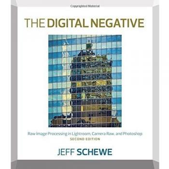 The Digital Negative: Raw Image Processing in Lightroom, Camera Raw, and Photoshop