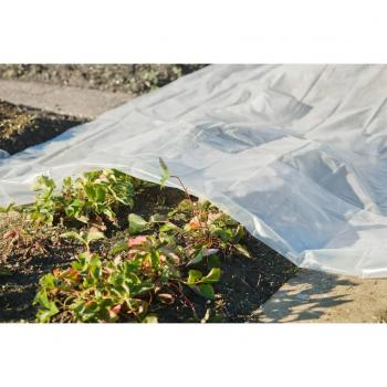 Revêtement de serre 4×6 m 100 µ Transparent