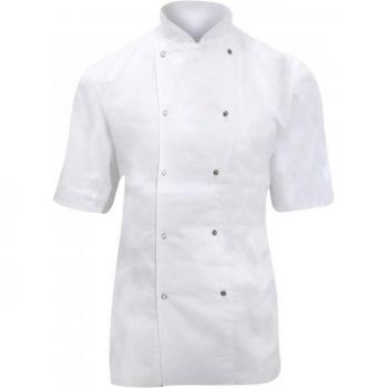 Professional Short Sleeve Cook's Top