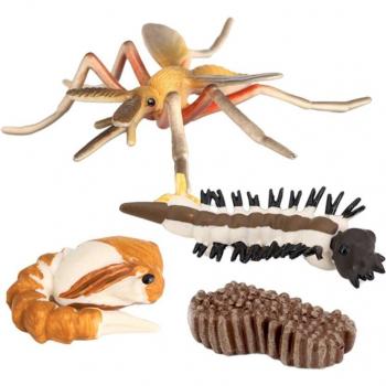 Kids Insect Life Cycle Learning Toy