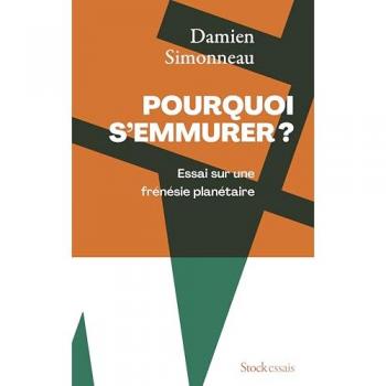 Pourquoi s'emmurer: Essai sur une frénésie planétaire