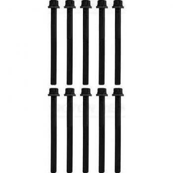 Conjunto de Parafusos REINZ 14‑10371‑01 (Cabeça de Motor)
