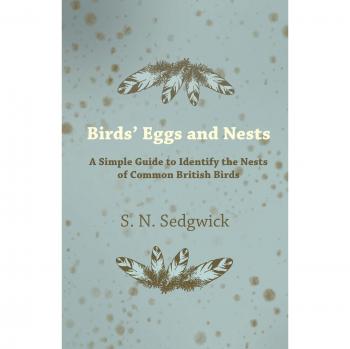 Birds' Eggs and Nests