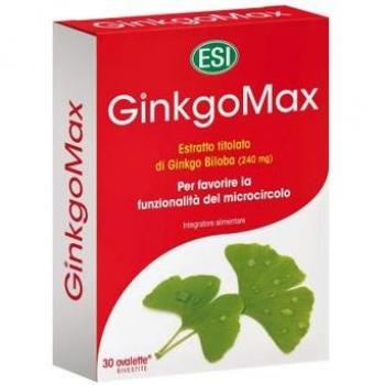 GinkgoMax