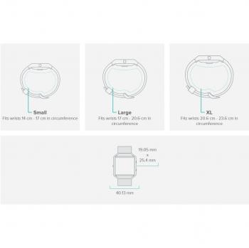 Fitbit Blaze Wrist‑Based Heart Rate Monitor – Large, Pink Gold